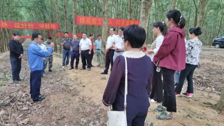 全国割胶冠军张健给各单元学员做尺度化胶园建设及割胶技术的经验介绍。。。。。。。。.jpg