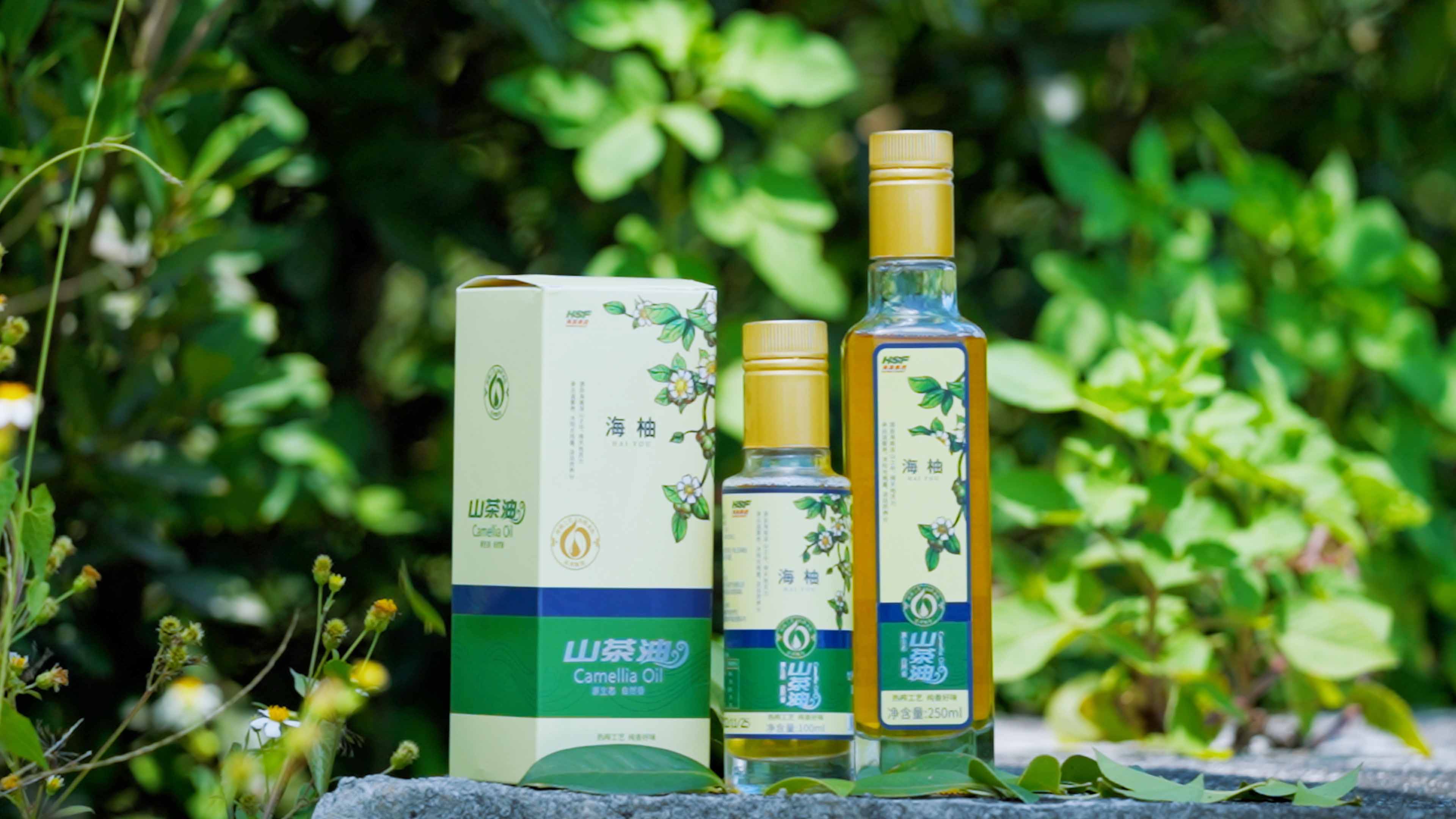 Stake官网乐香山茶油