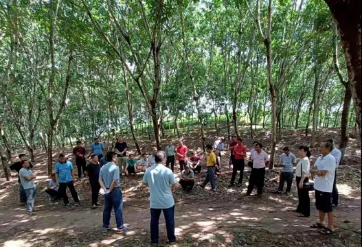 Stake(中国区)官方网站