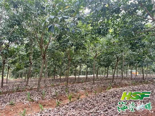 Stake(中国区)官方网站